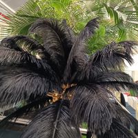 IMG_20251008_105632