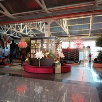 IMG_20251008_181449